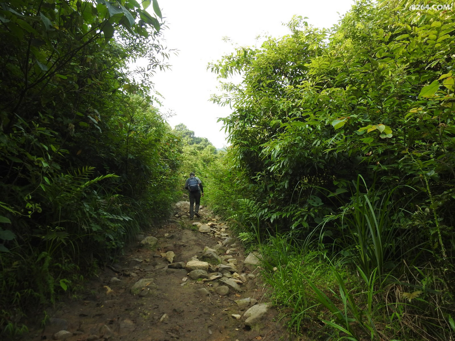 DSCN4974.JPG