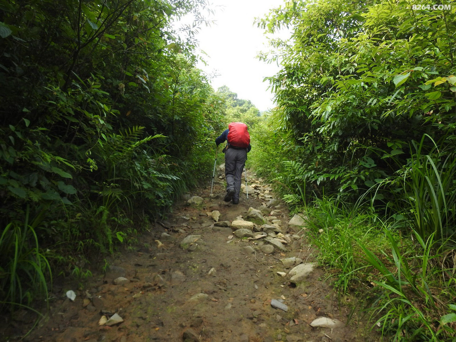 DSCN4975.JPG