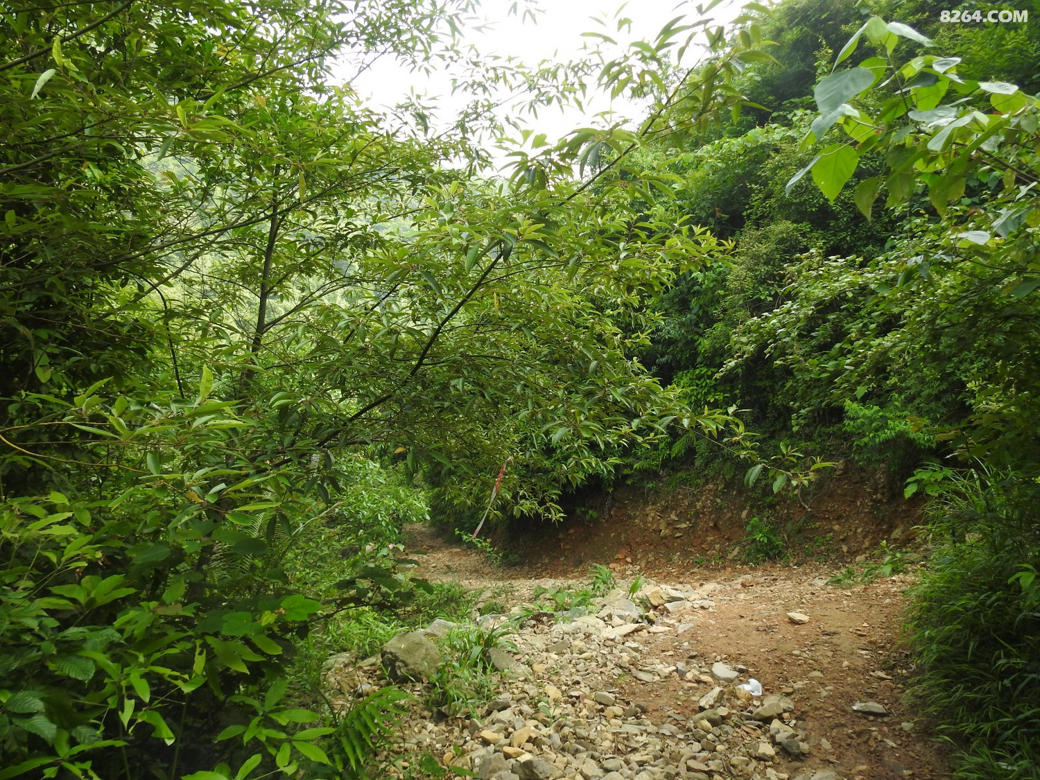 DSCN4976.JPG