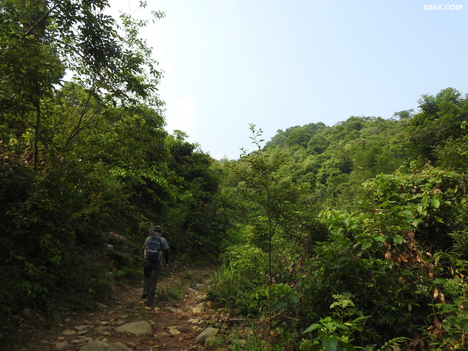 DSCN4977.JPG