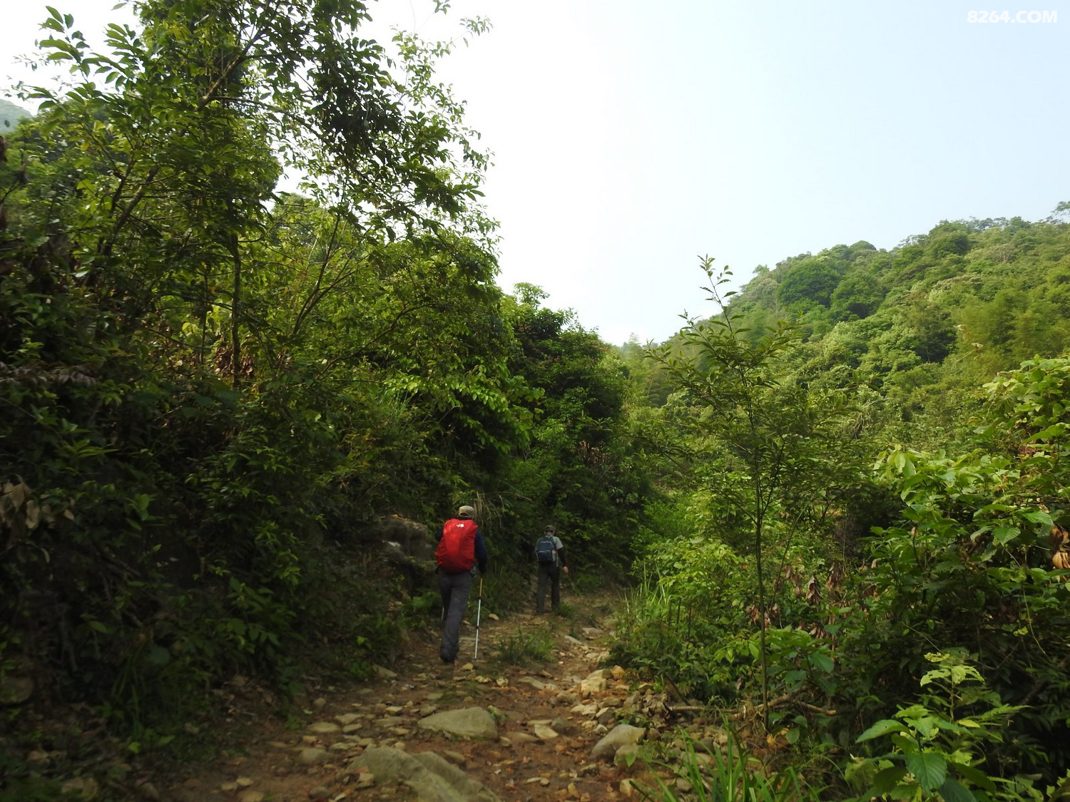 DSCN4978.JPG