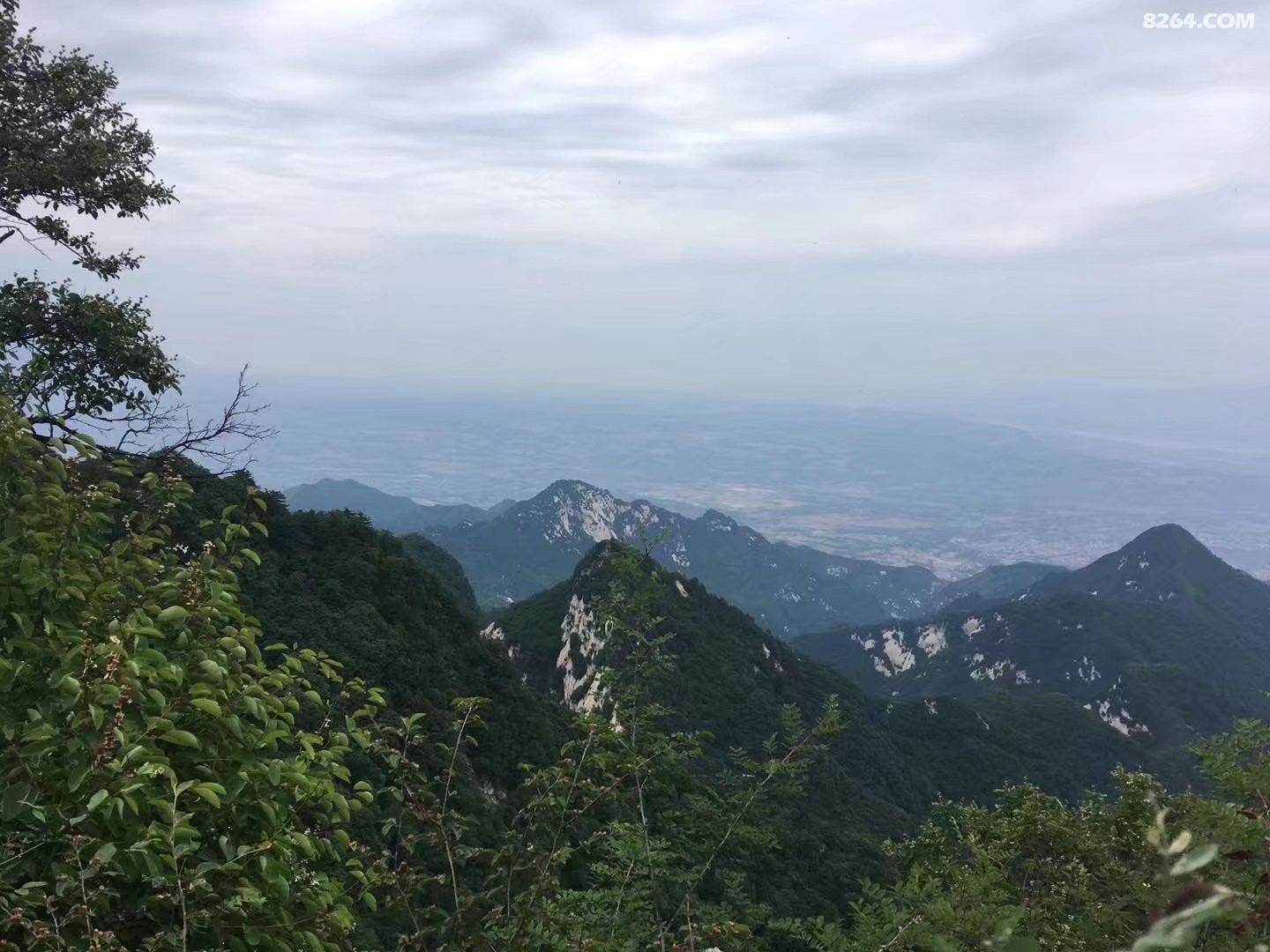 登中原之巅,览秦岭风光 - 第10页 - 河南 - 8264户外