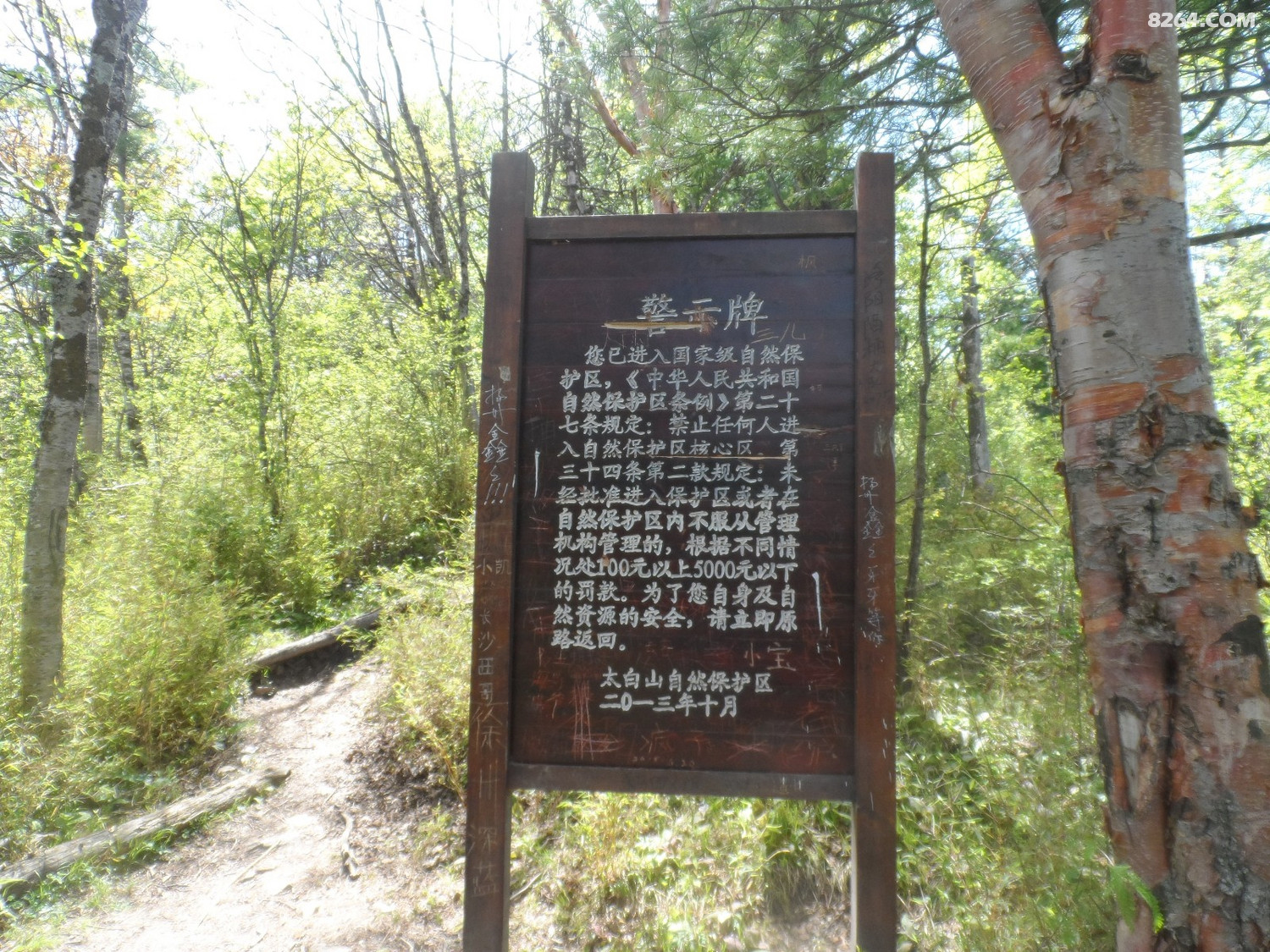 SAM_0048.JPG