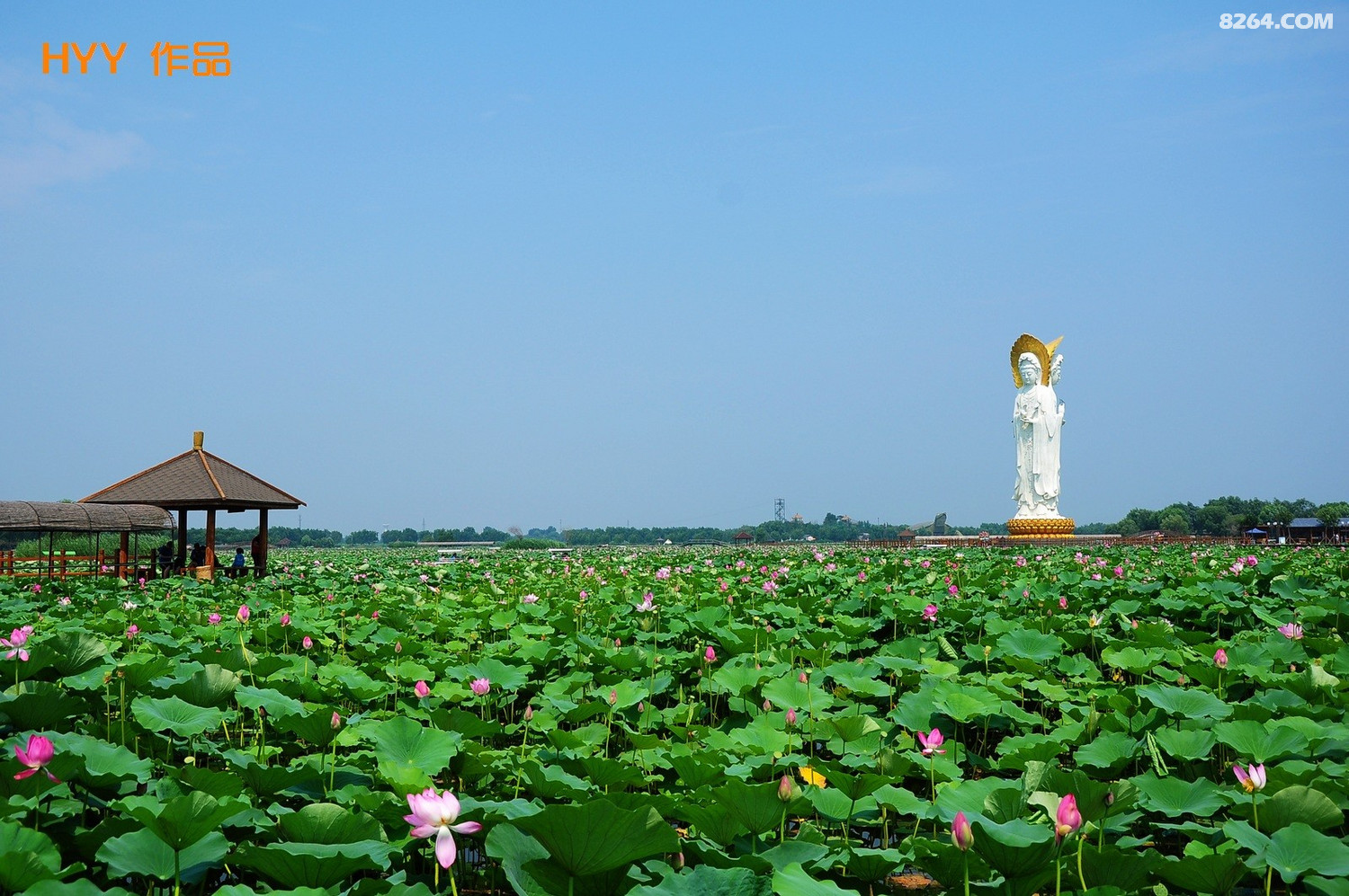 白洋淀大观园嘎子印象鸳鸯岛休闲一日游