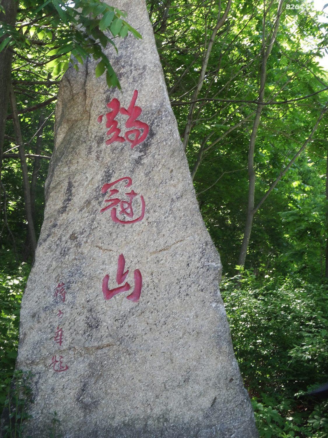 2017年6月10日梅河口市鸡冠山户外活动回顾帖