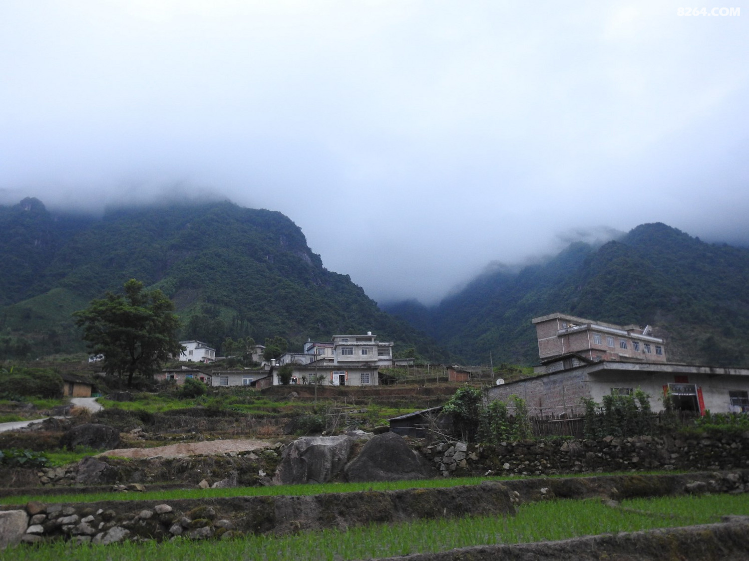 DSCN5328.JPG