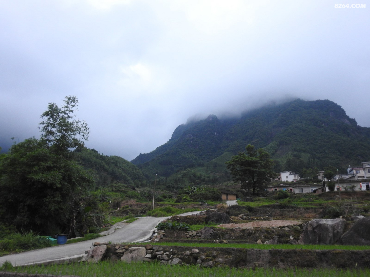 DSCN5329.JPG