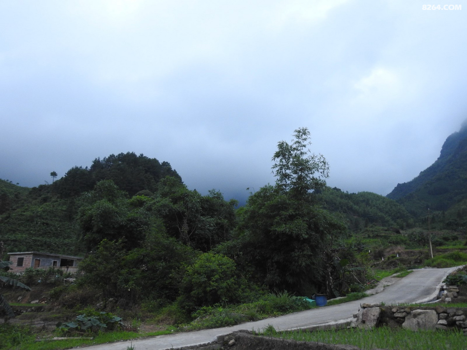 DSCN5330.JPG