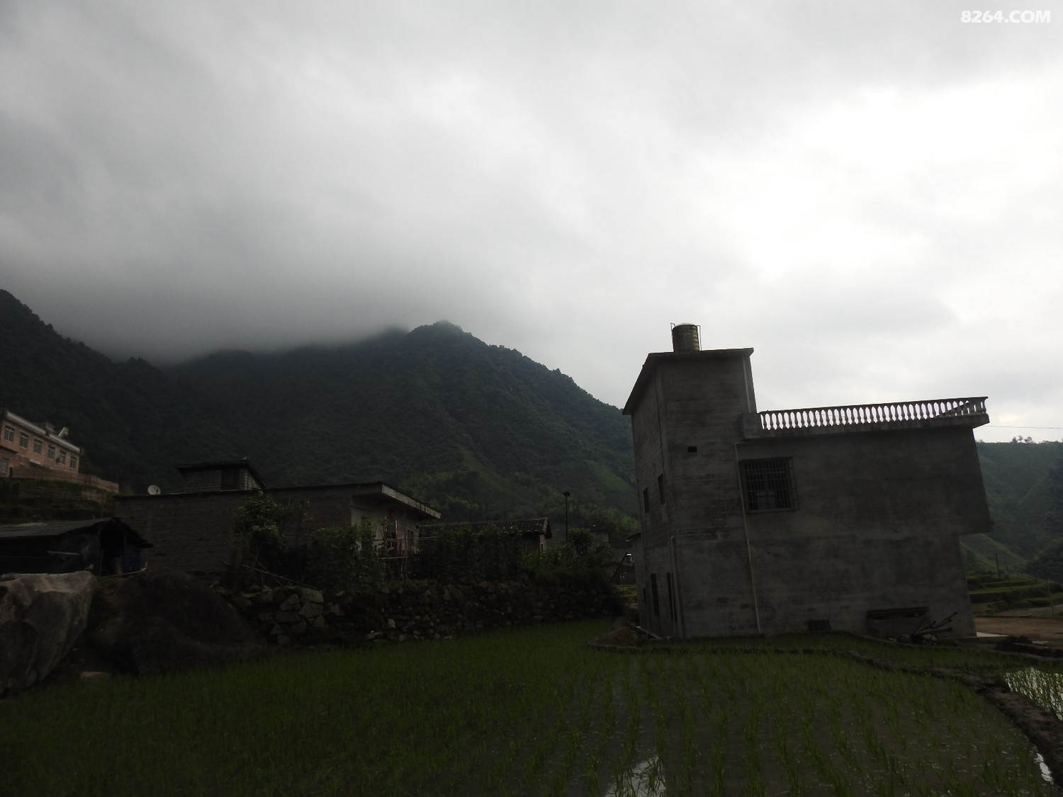 DSCN5335.JPG
