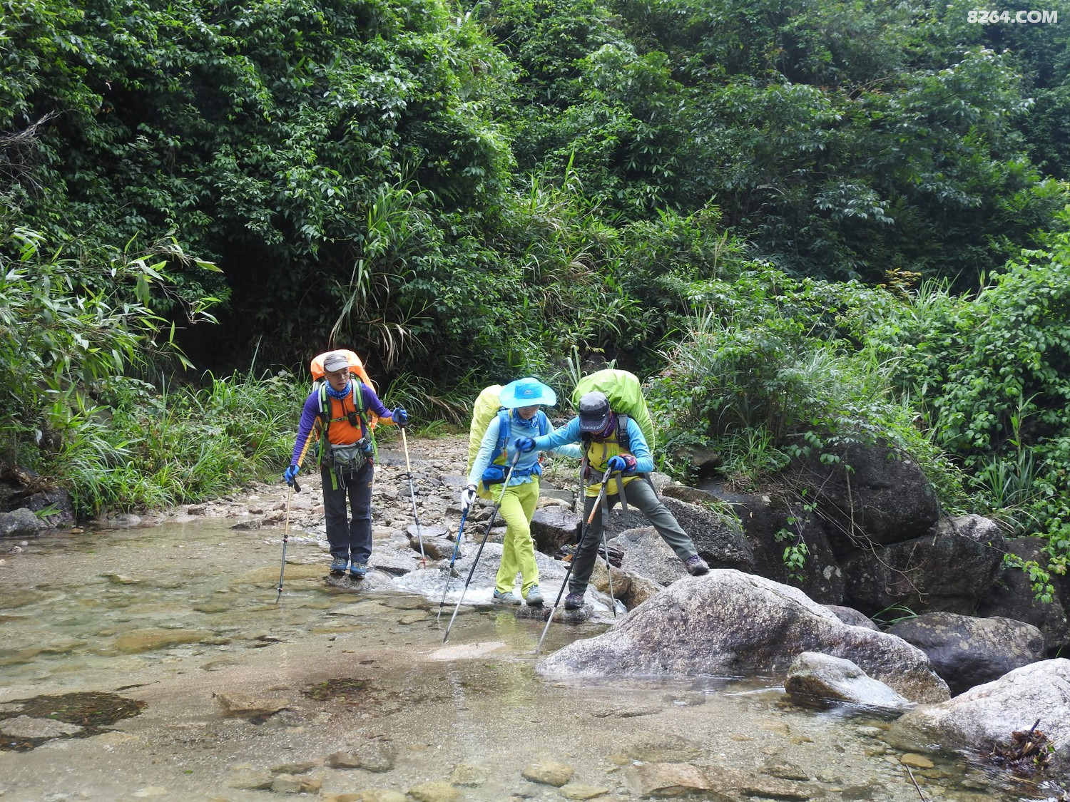 DSCN5358.JPG