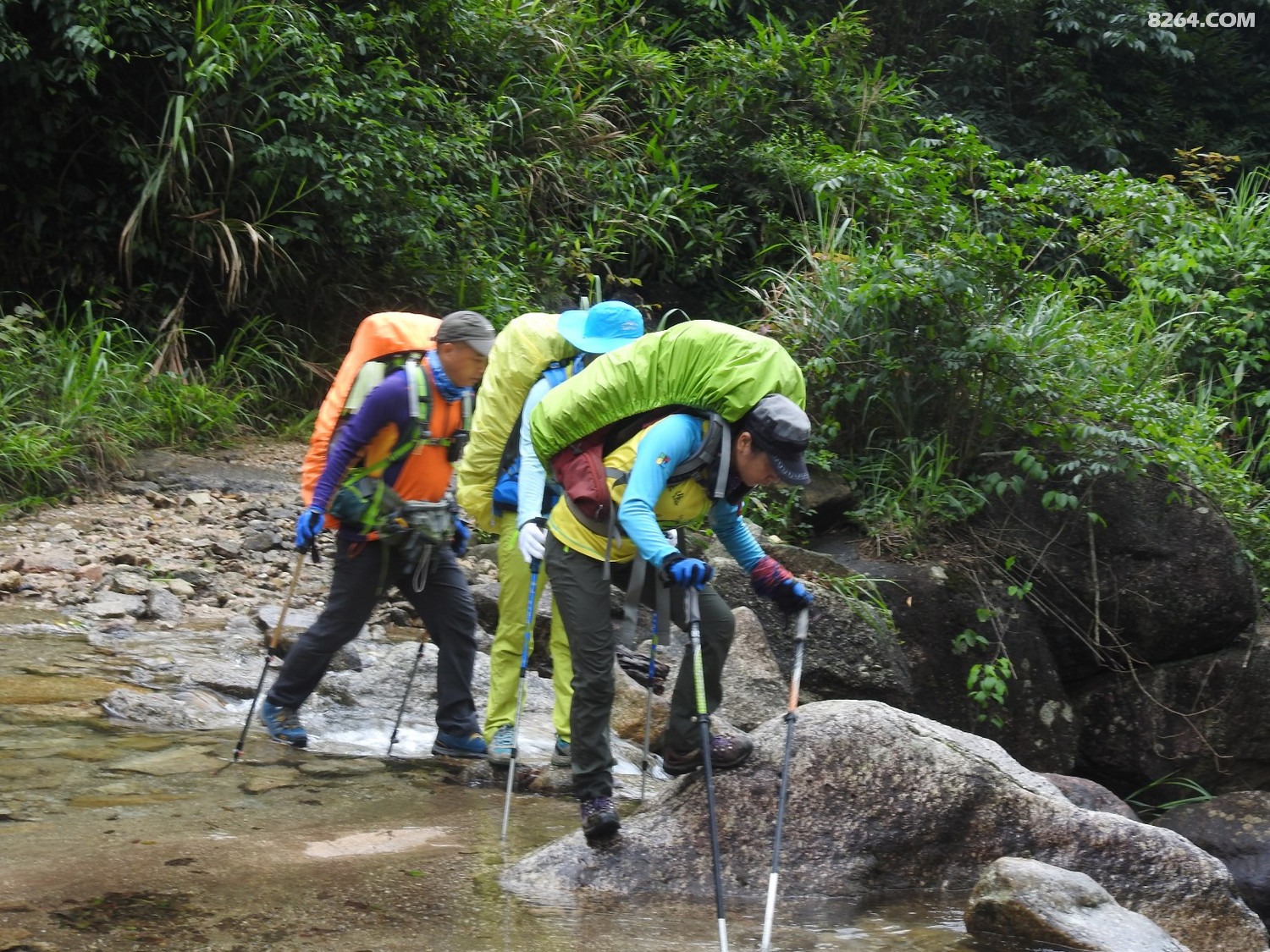 DSCN5359.JPG