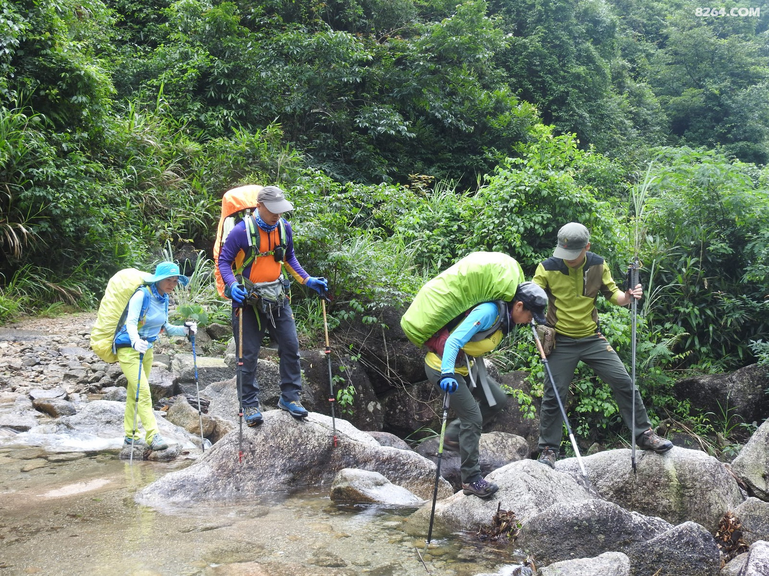DSCN5363.JPG