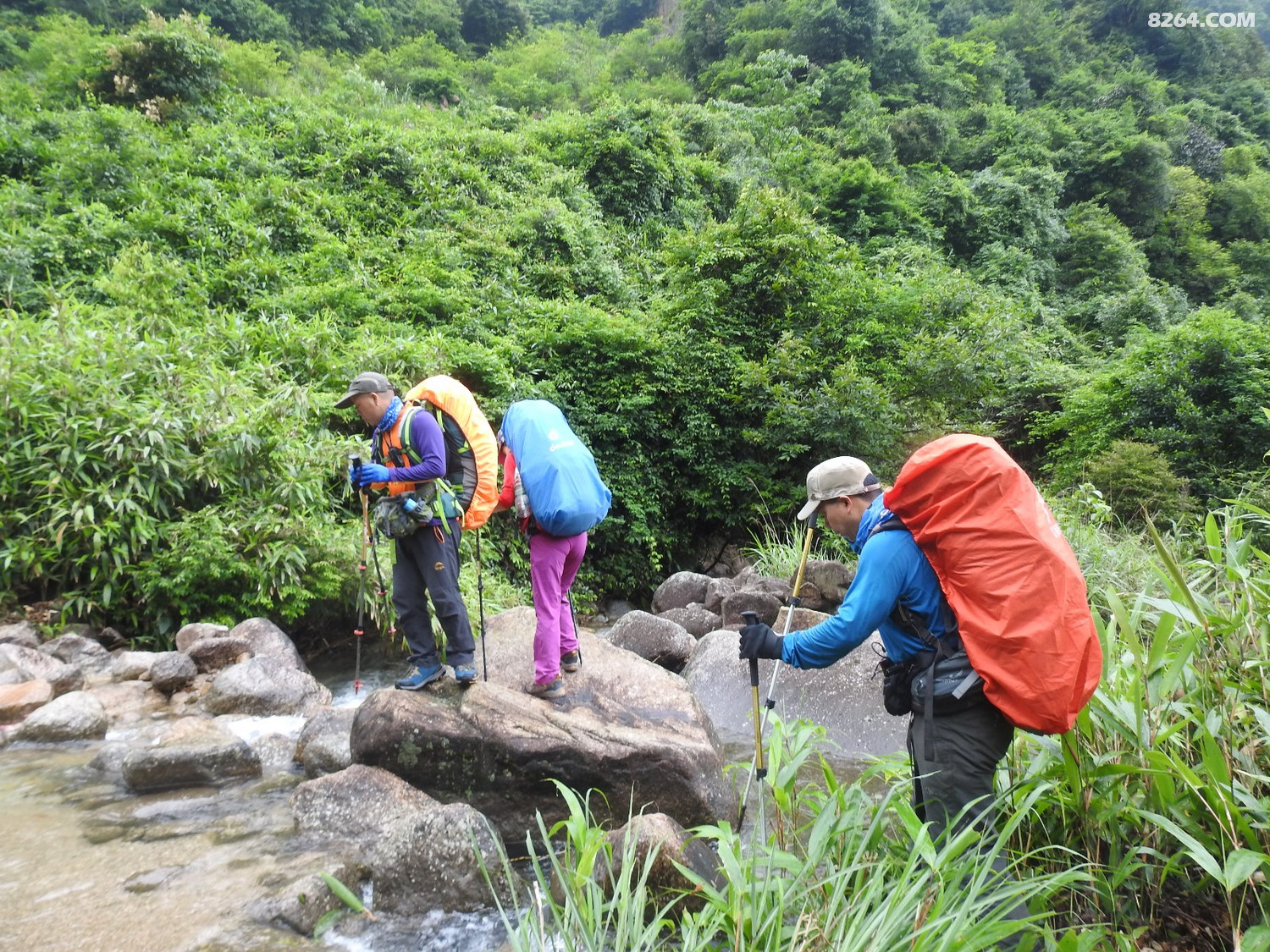 DSCN5368.JPG