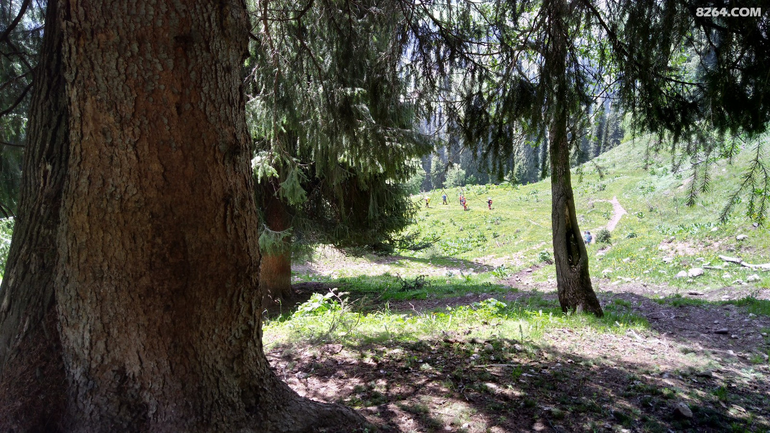 IMG_20170518_150717.jpg