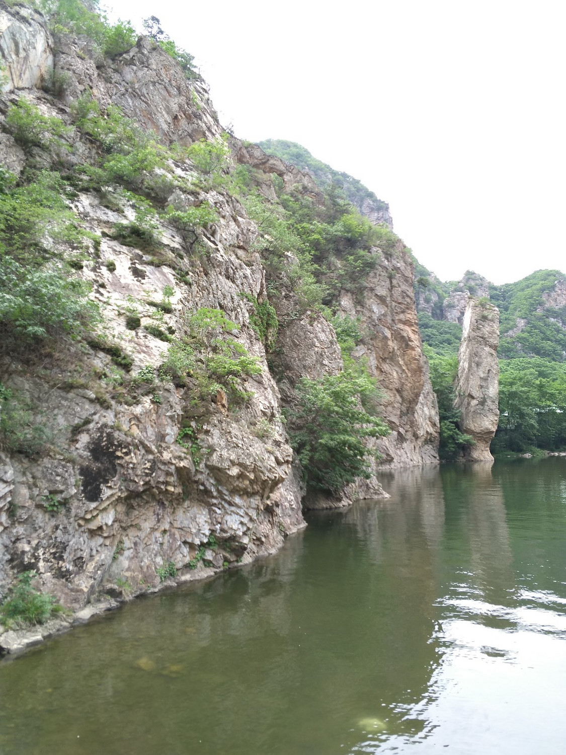 IMG_20170625_103946.jpg