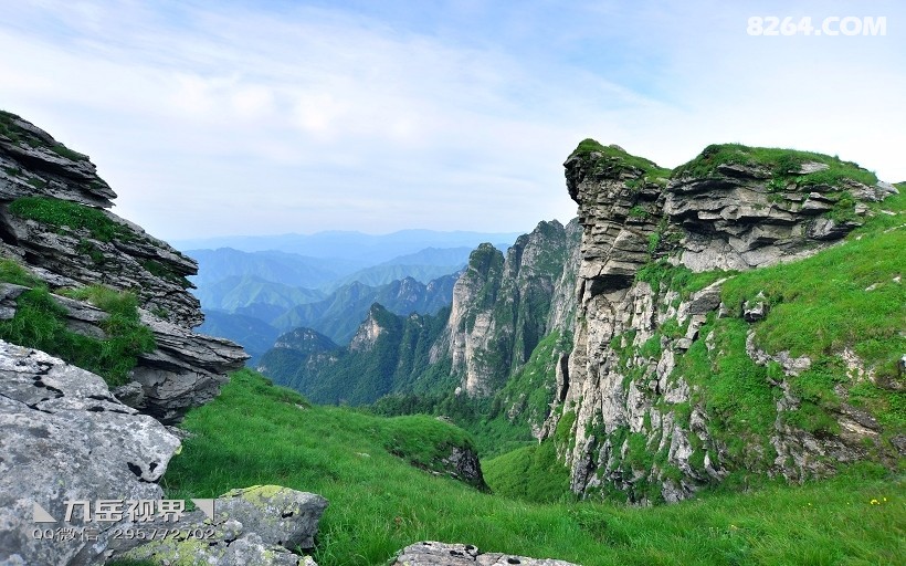 九岳视界走进秦岭82少女之心美丽鹿角梁