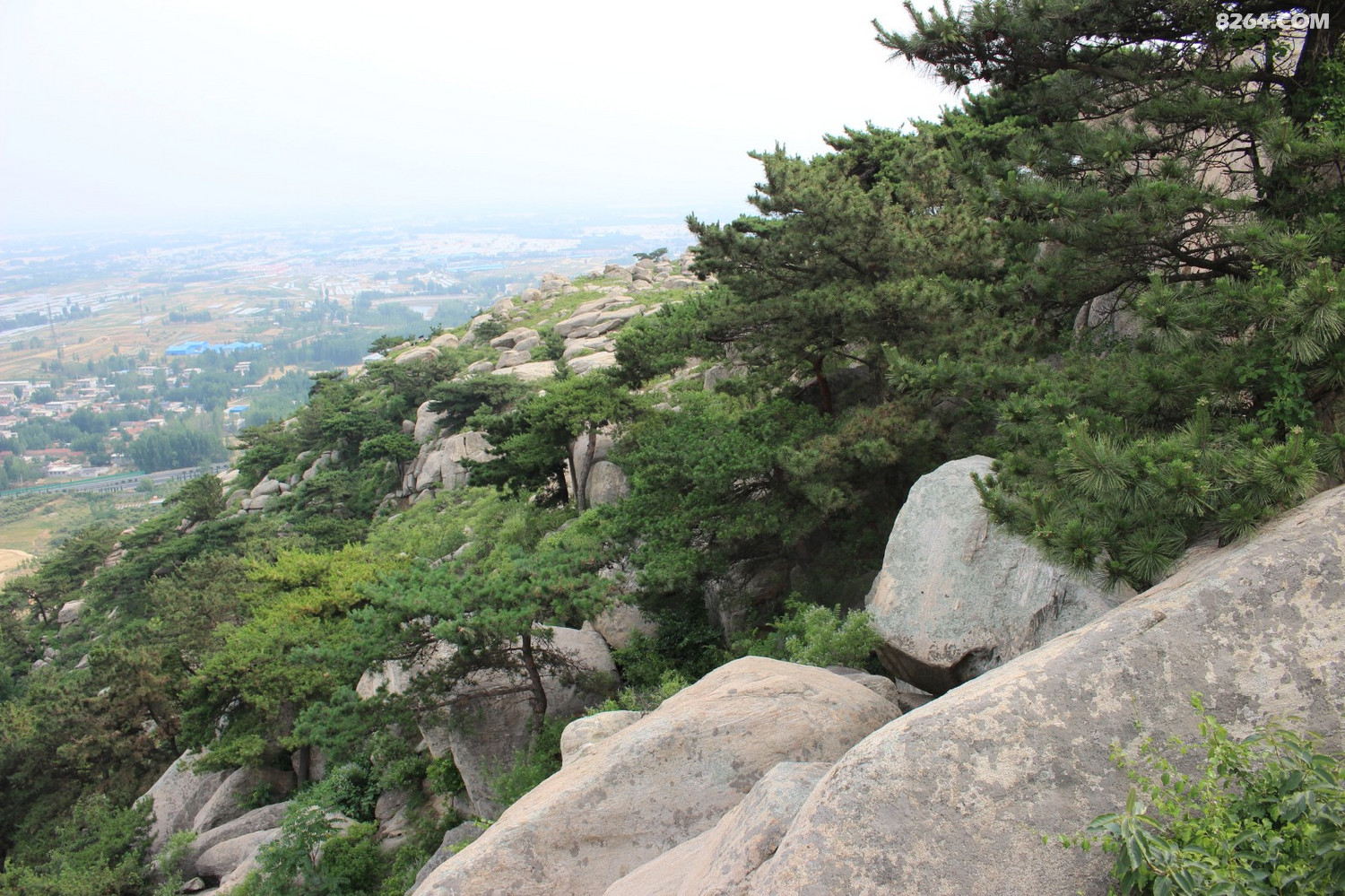 费县小龙山赏石