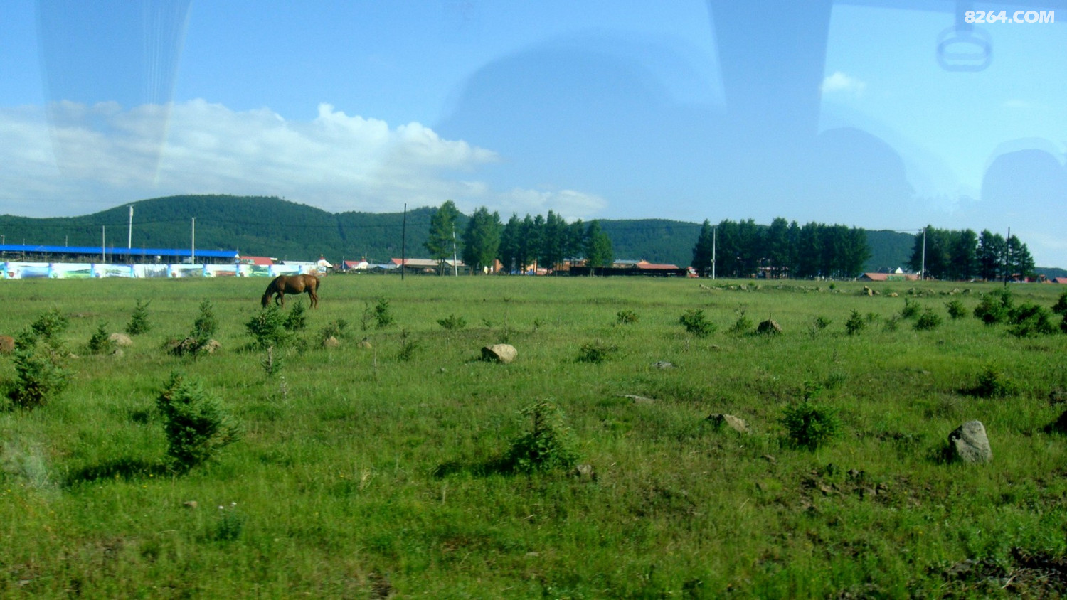 DSC02005.JPG