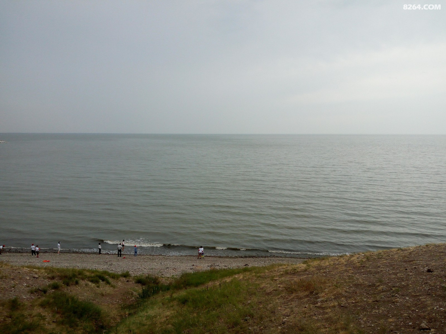 IMG_20170704_125641.jpg