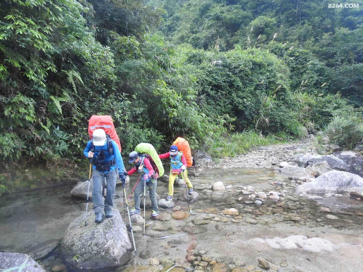 DSCN6582.JPG