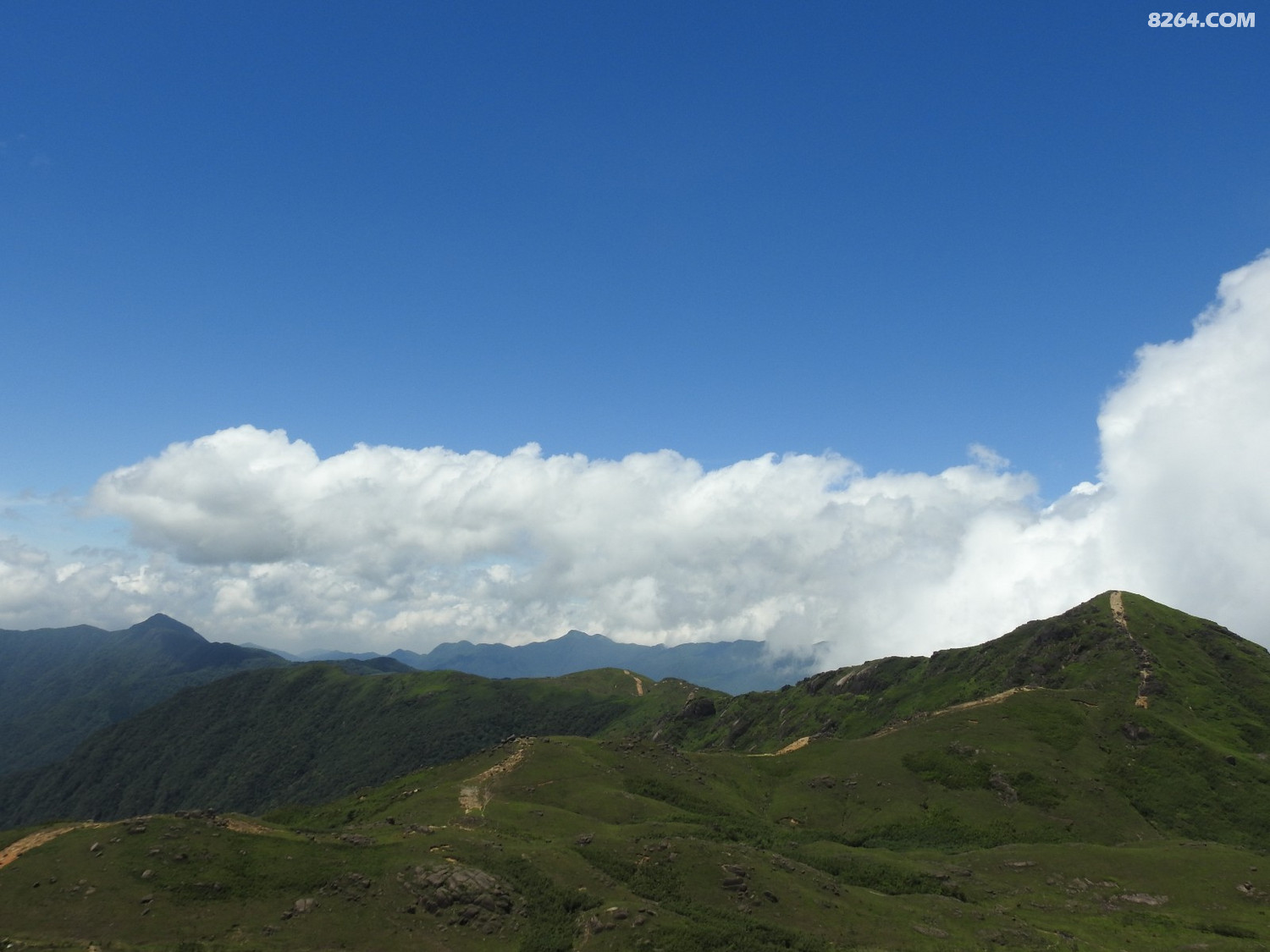 DSCN6658.JPG