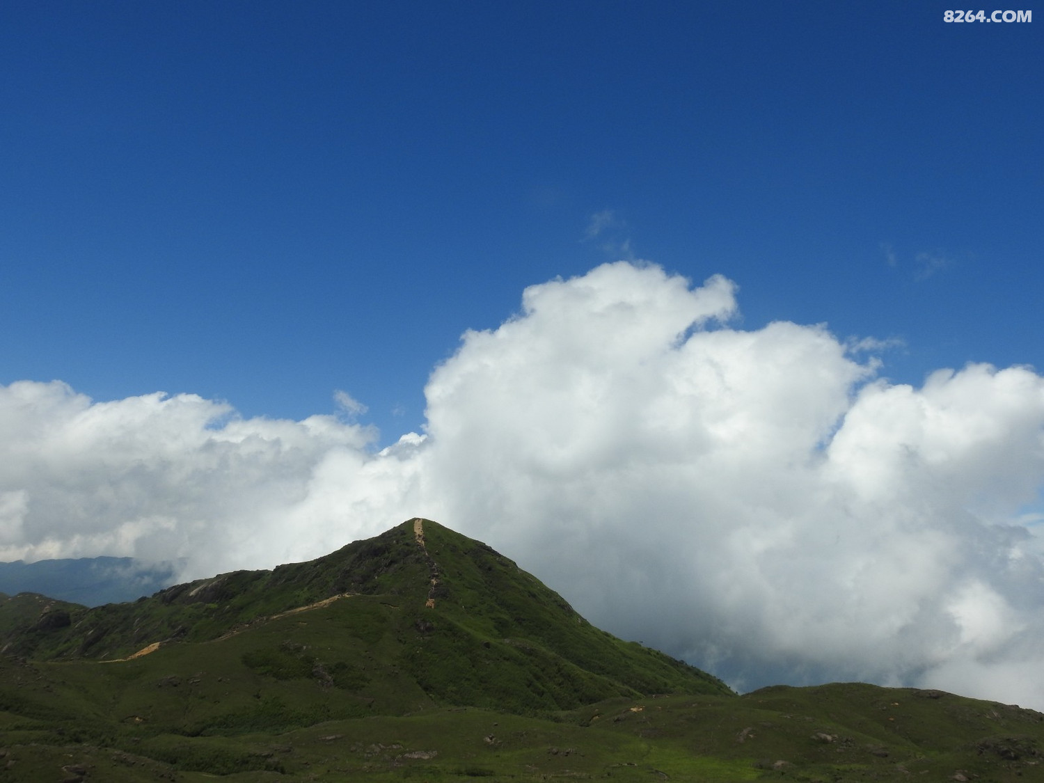DSCN6659.JPG