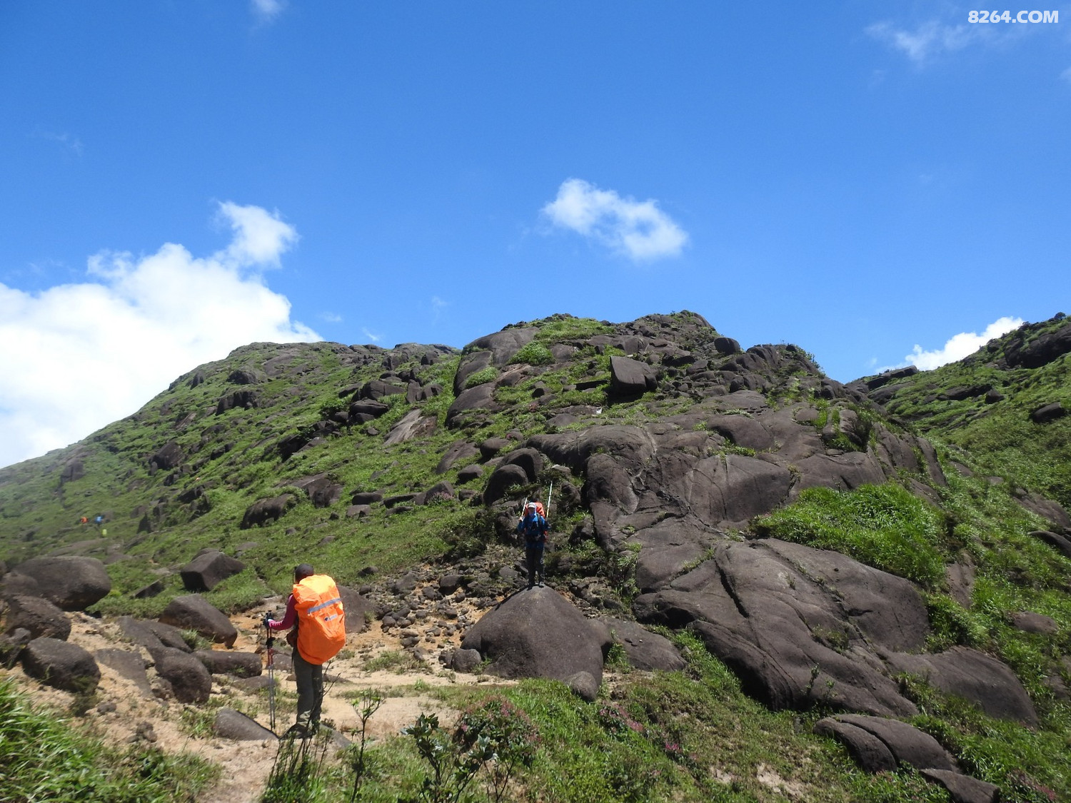 DSCN6679.JPG