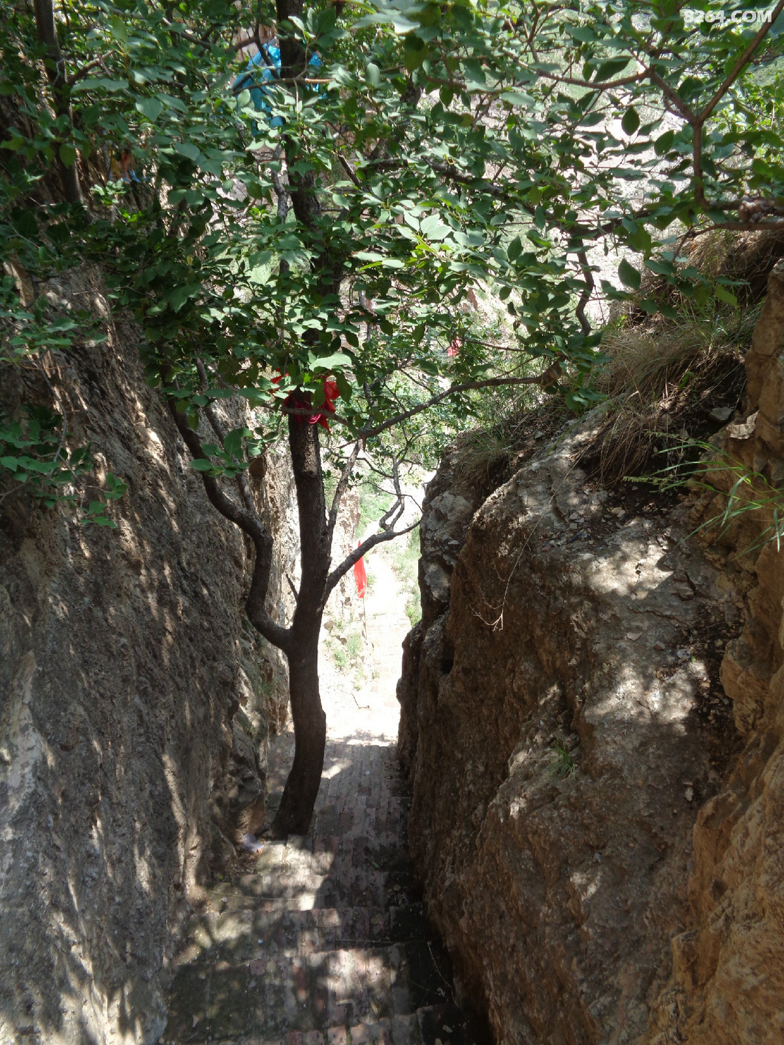 DSC00061.JPG