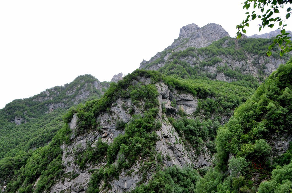 临夏太子山风光