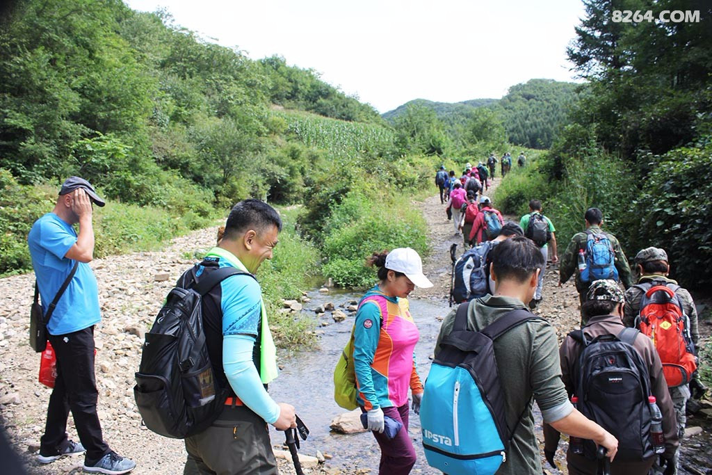 抚顺后安镇八盘炉村爬山采软枣子