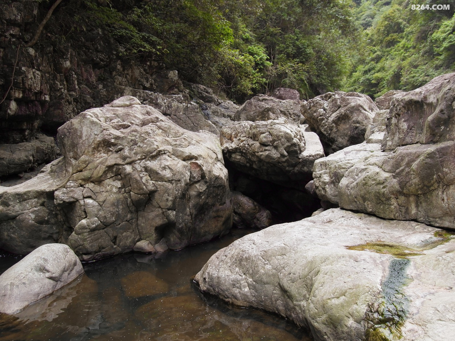 宁德七都桃花溪