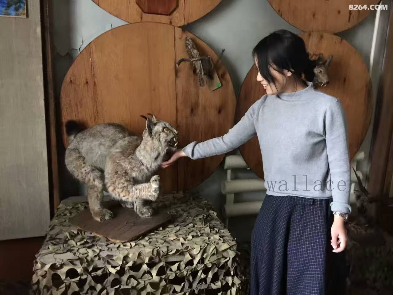 webwxgetmsgimg (7).jpg