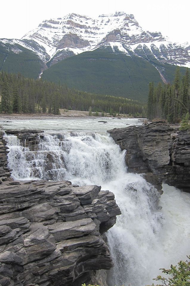 Athabasca falls.jpg