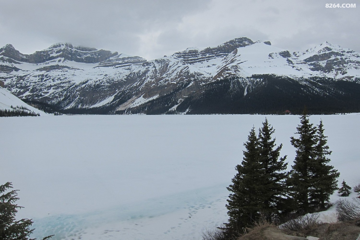 Bow lakeBow river()ԓ؞ҹ@^ǿ(Calgary)Rsouth Saskatchewan river.jpg