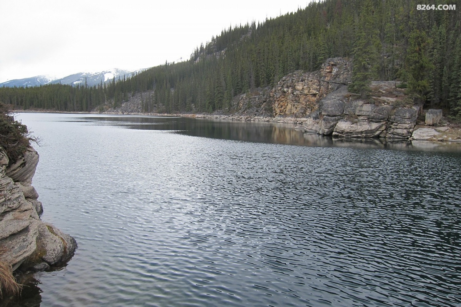horseshoe lake.jpg