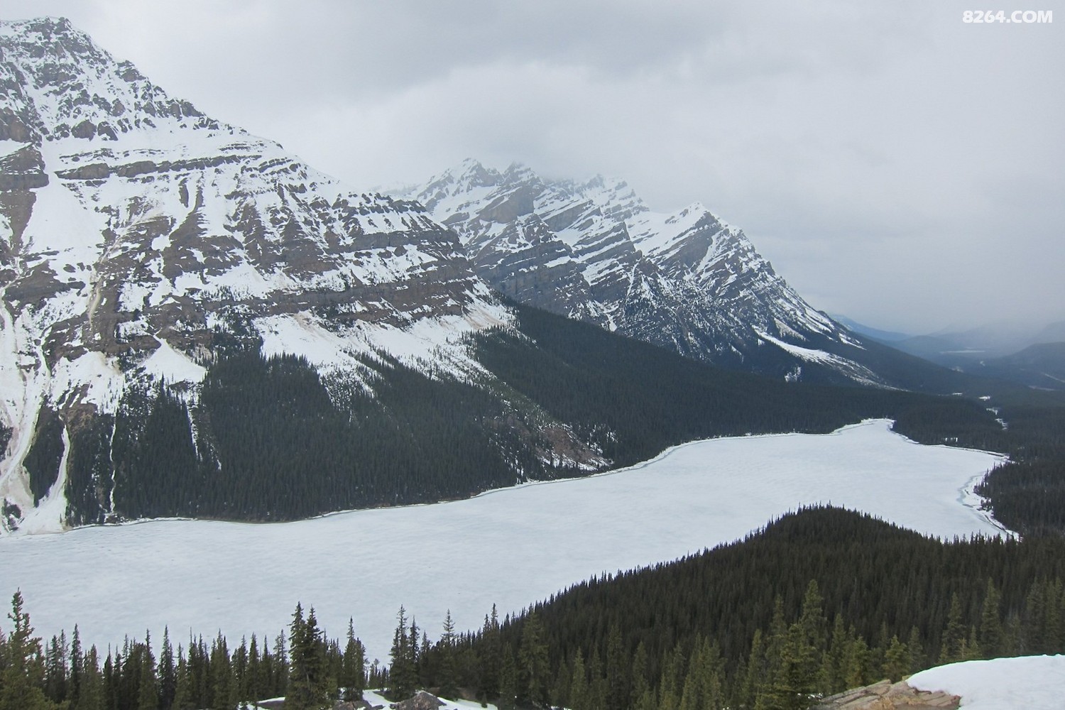 Peyto lake^c߶ȼs2100.jpg