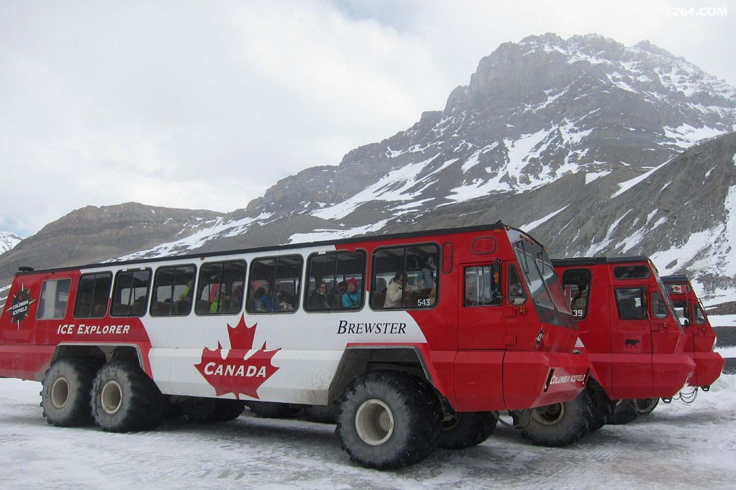 炐ȁԭ[(Columbia icefield adventure)ȫ܇.jpg