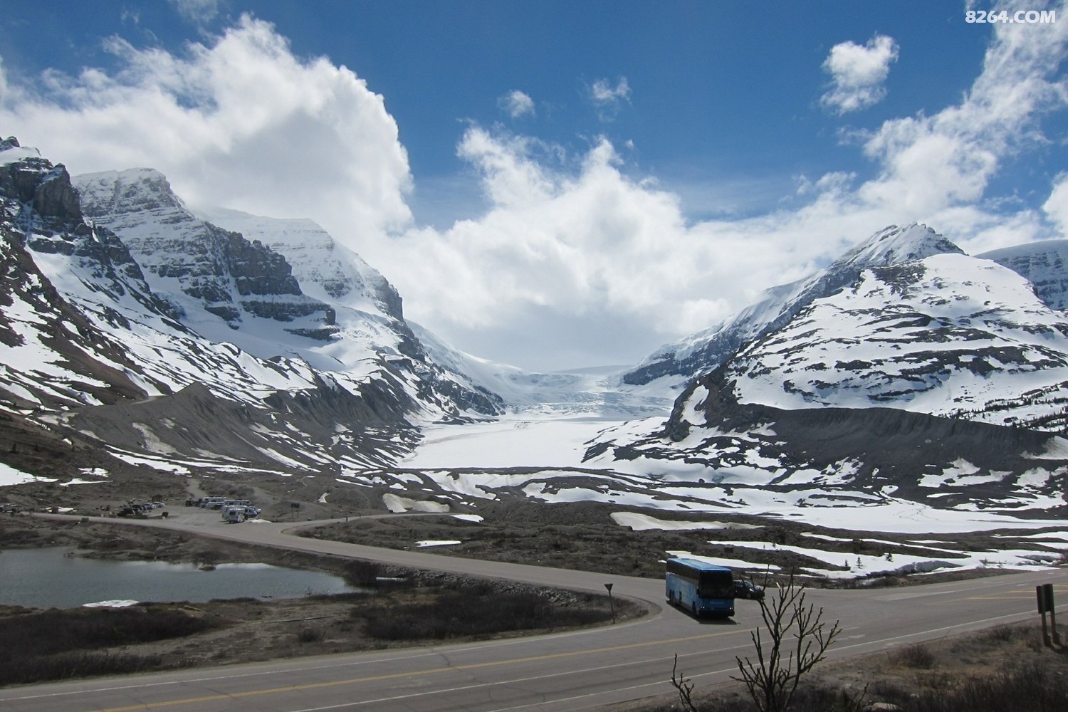炐ȁ(Columbia icefield center)c炐ȁԭ.jpg