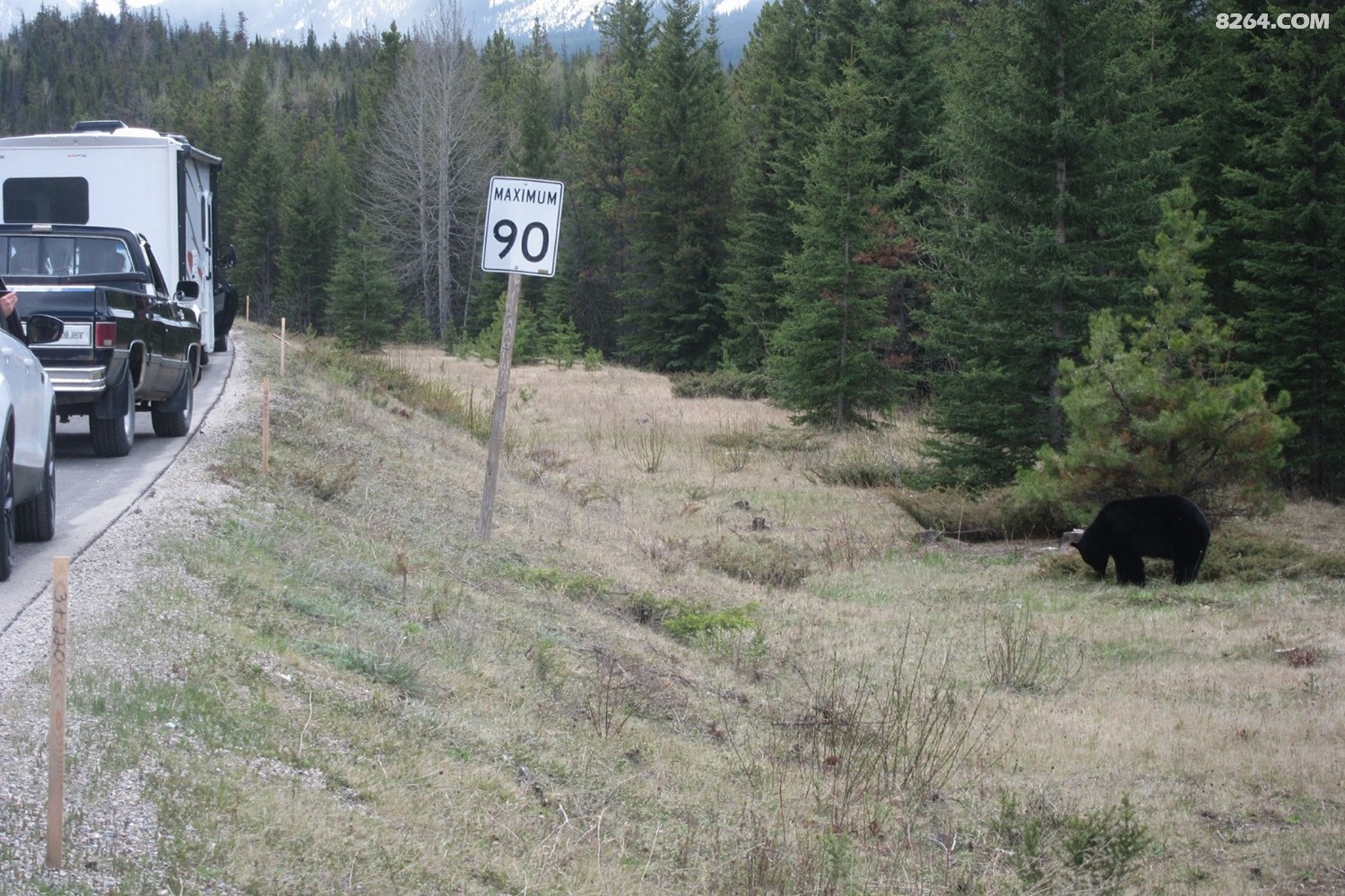 c^p܇ꇣAthabascaٲ .jpg