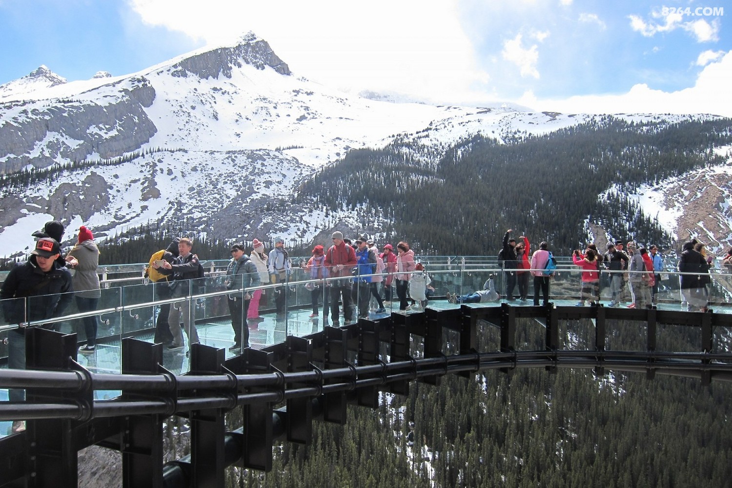 ղ(skywalk)炐ȁԭ(Columbia icefield center) (2).jpg