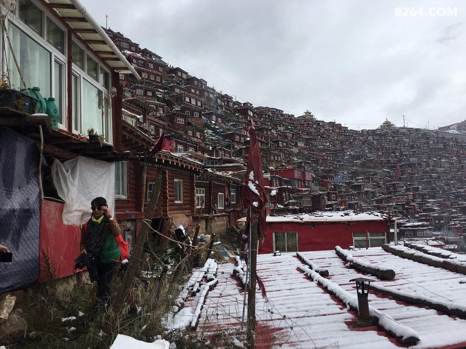 1004雪中溜达色达五明佛学院美美哒