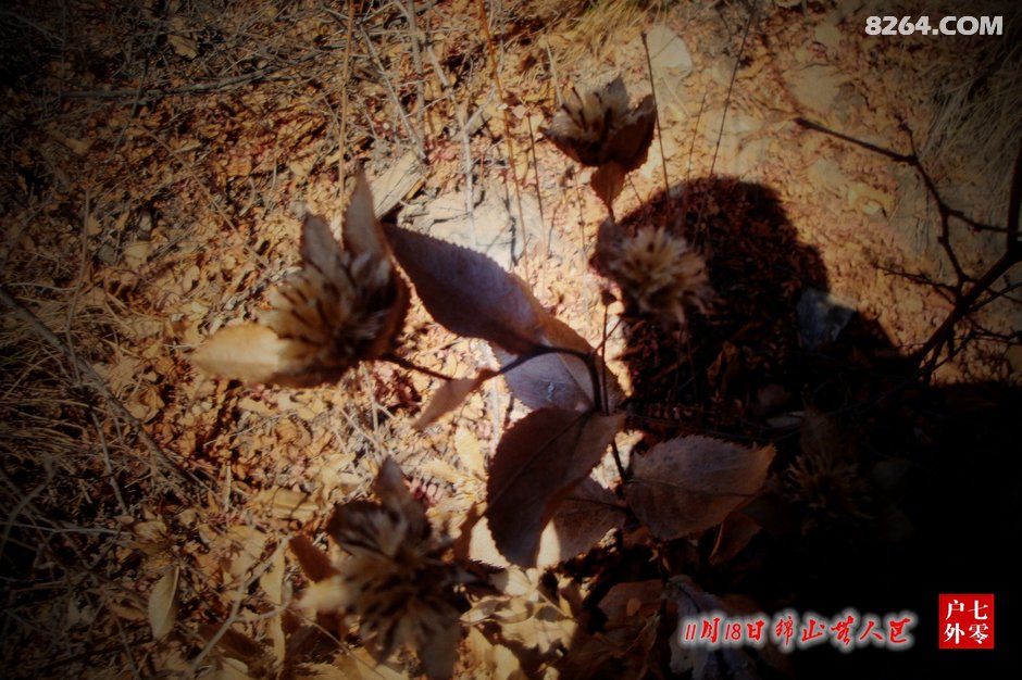 银空洞出来下山,乘公交返回灵石,静升小田家吃了饭,正宗甘肃羊肉,感谢