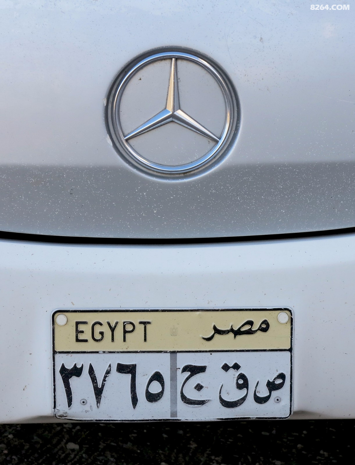 15.JPG