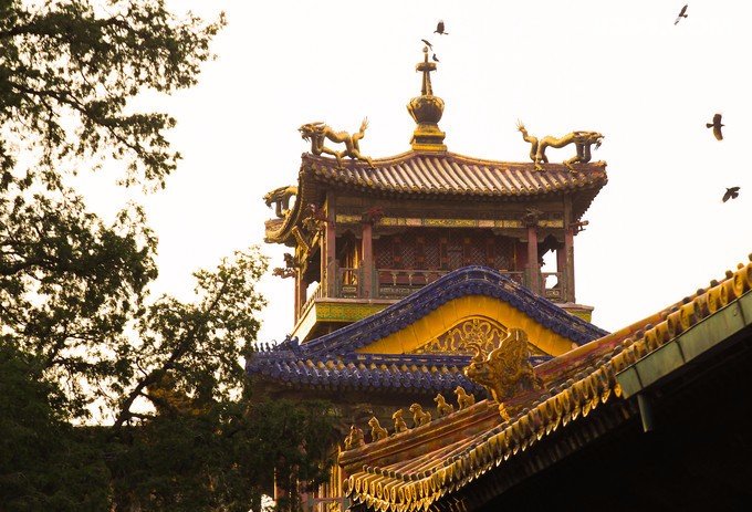 北平之秋 老舍说 秋天一定要住北平 - 河北|北京游记攻略