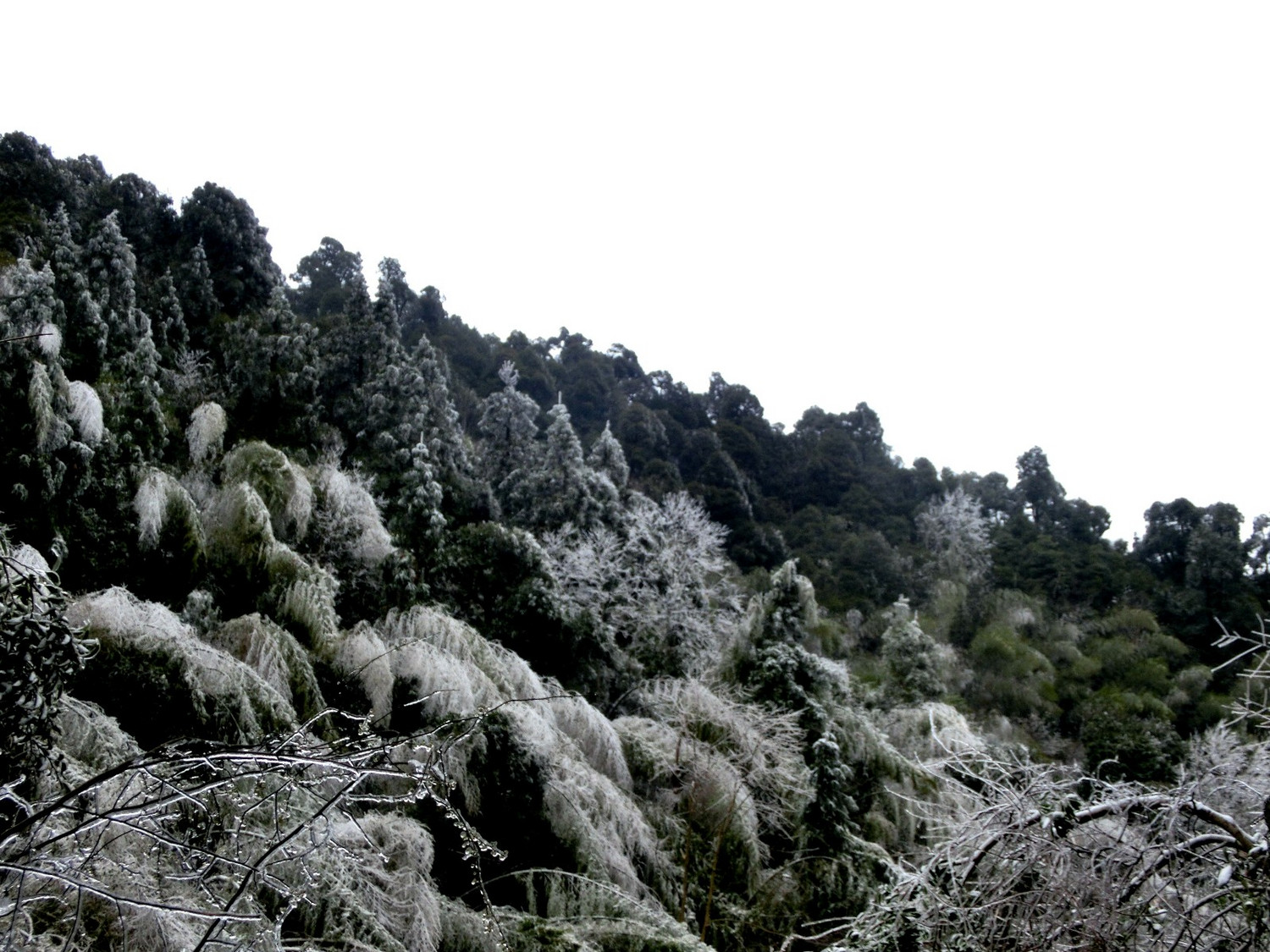 建宁县高峰古道及雄瀑的冰雪世界