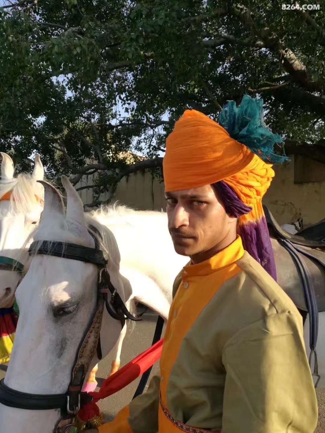 2017印度嘻哈二是二天