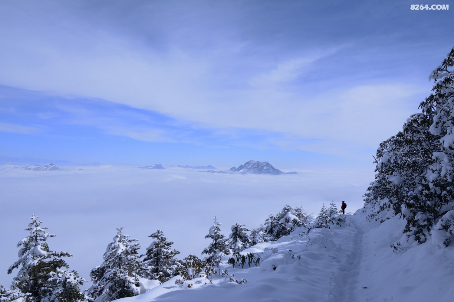冬天泸定娘娘山最全徒步攻略路线图片住宿电话