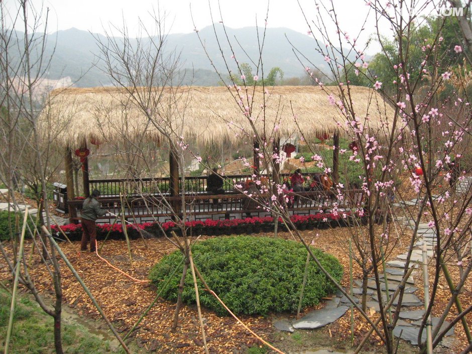 福州大腹山山地步道二期(义井村起行)[2月20日]