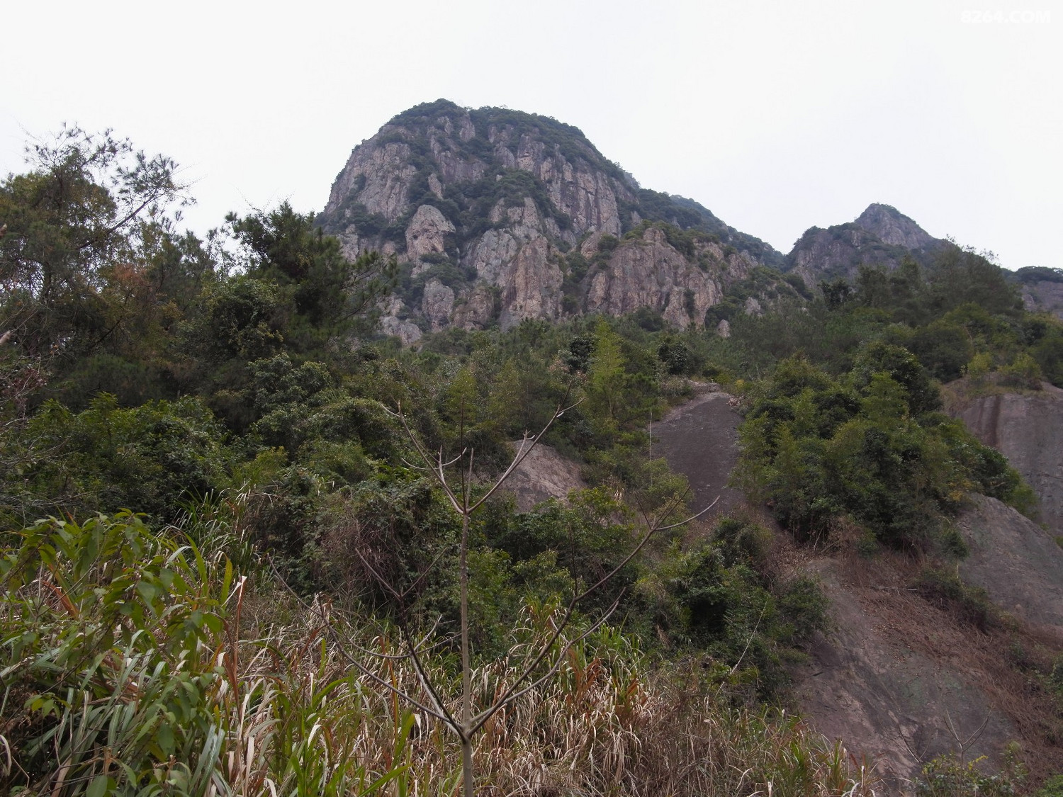 美丽乡村罗源东湾村牛头冈山