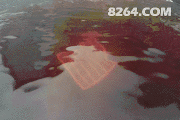 47.gif